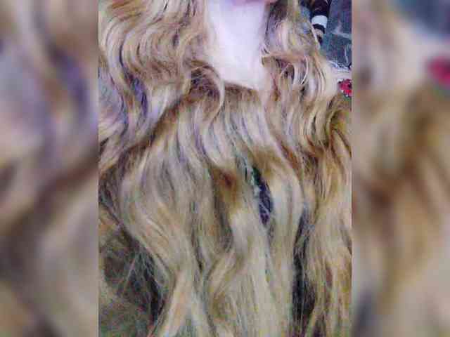 TPAXATb-B-MENU webcam