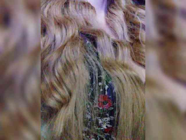 TPAXATb-B-MENU webcam