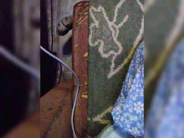 TPAXATb-B-MENU webcam