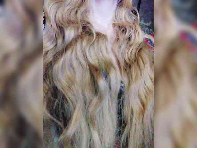 TPAXATb-B-MENU webcam