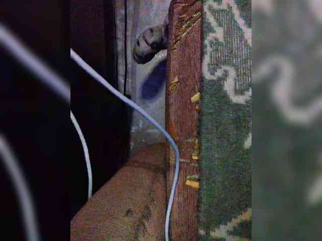 TPAXATb-B-MENU webcam