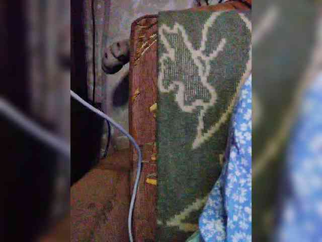 TPAXATb-B-MENU webcam