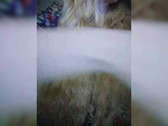 -Xo4y-Tpax-MENU webcam