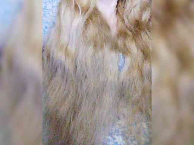 -Xo4y-Tpax-MENU webcam