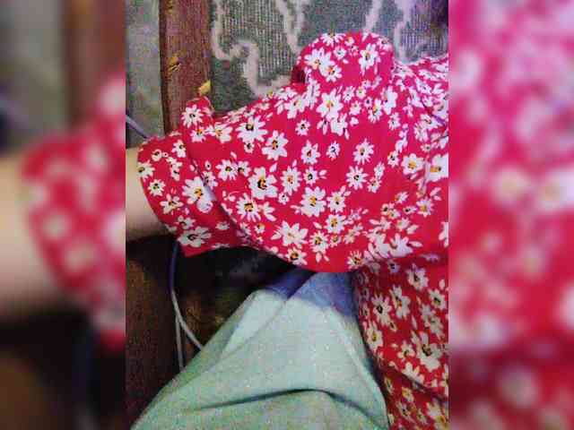 TPAXATb-B-MENU webcam