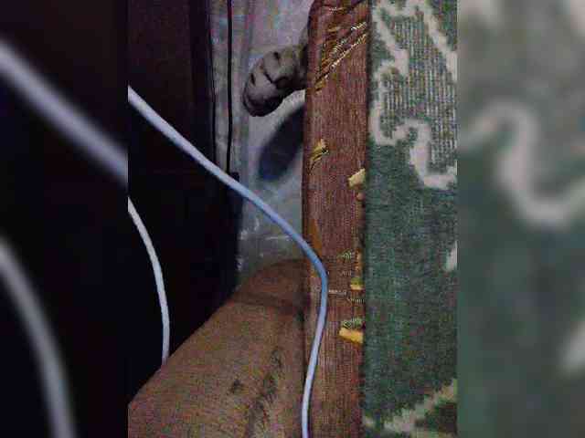 TPAXATb-B-MENU webcam