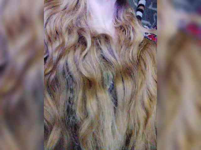 TPAXATb-B-MENU webcam