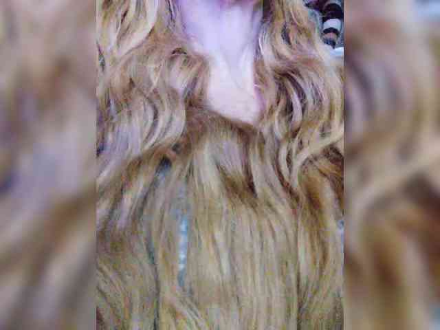 TPAXATb-B-MENU webcam