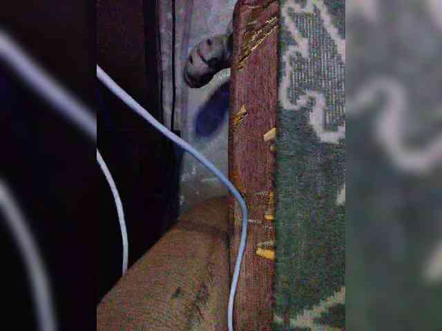 TPAXATb-B-MENU webcam