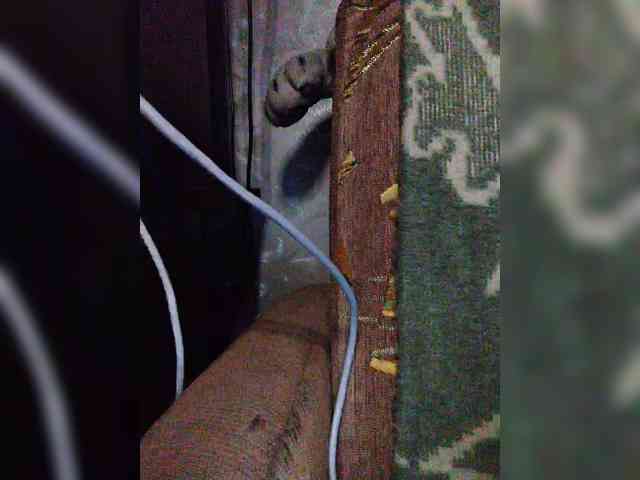 TPAXATb-B-MENU webcam