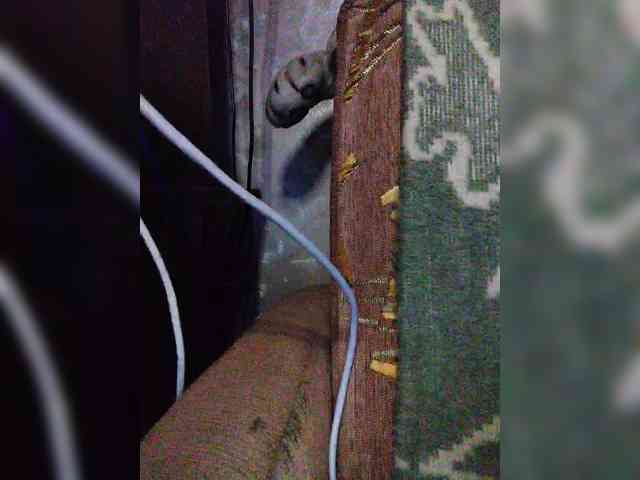 TPAXATb-B-MENU webcam