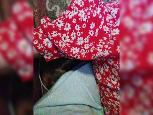 TPAXATb-B-MENU webcam