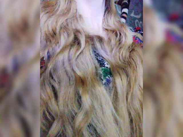 TPAXATb-B-MENU webcam