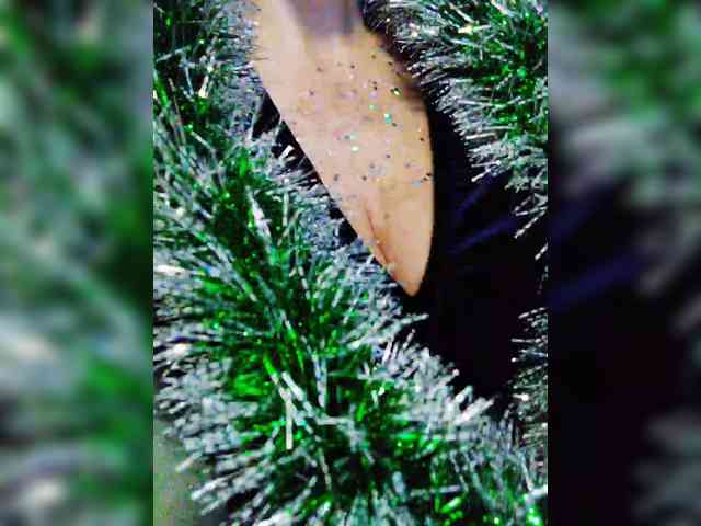 TPAXATb-B-MENU webcam