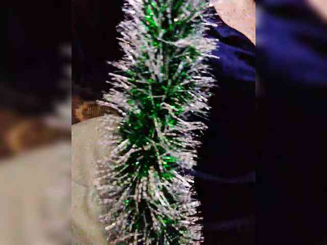 TPAXATb-B-MENU webcam