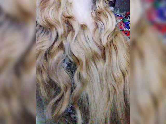 TPAXATb-B-MENU webcam