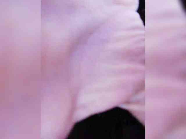 TPAXATb-B-MENU webcam