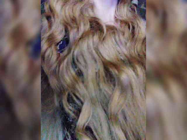 TPAXATb-B-MENU webcam