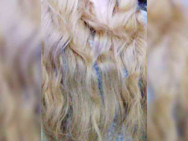 free sex chats Isabel-LM