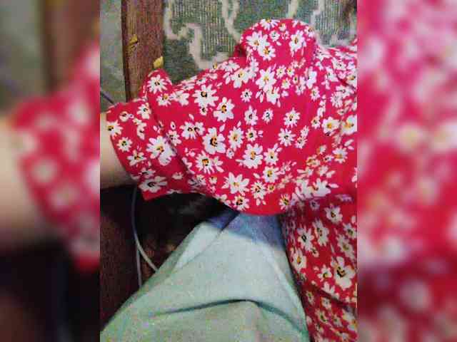 TPAXATb-B-MENU webcam