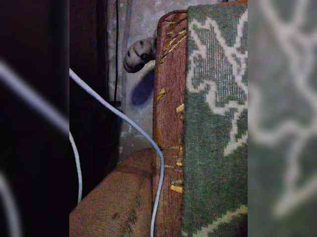 TPAXATb-B-MENU webcam