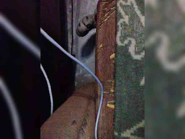 TPAXATb-B-MENU webcam