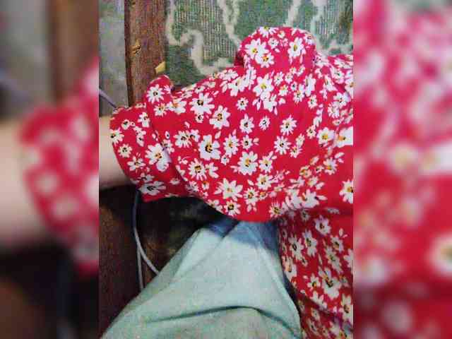 TPAXATb-B-MENU webcam