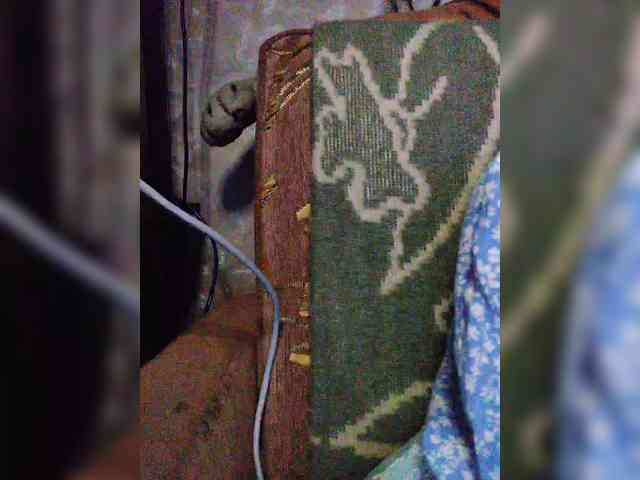 TPAXATb-B-MENU webcam