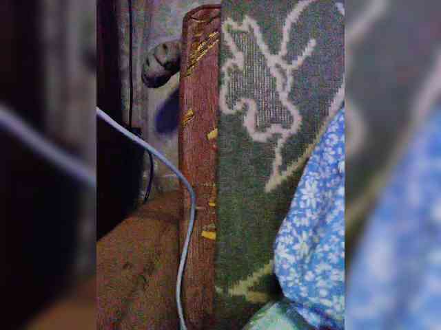 TPAXATb-B-MENU webcam