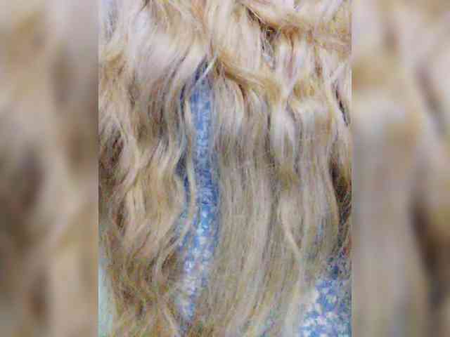 amateur sex webcam Isabel-LM