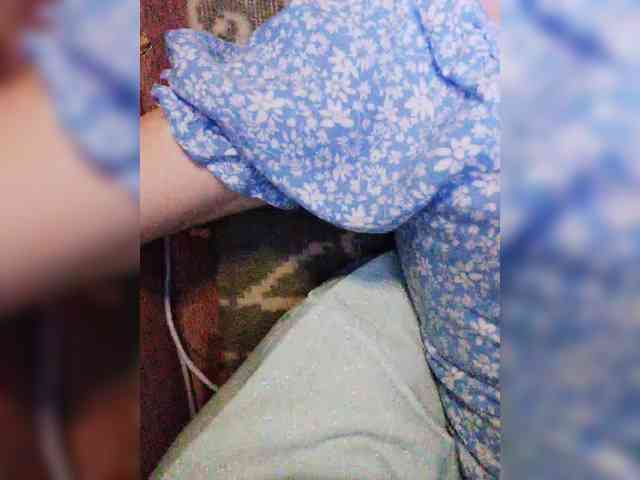 TPAXATb-B-MENU webcam