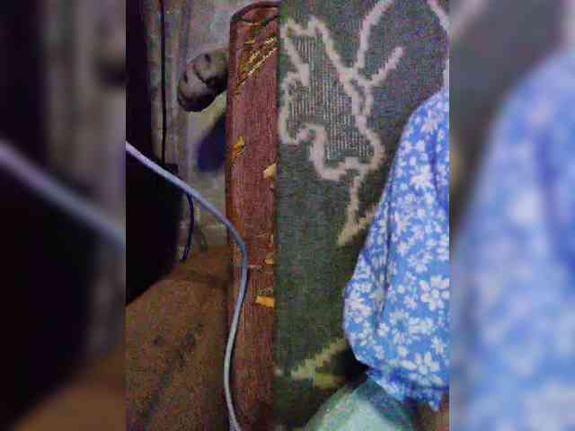 TPAXATb-B-MENU webcam