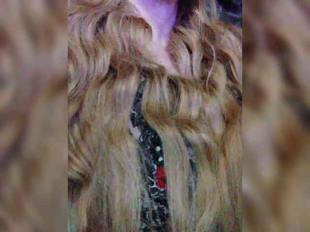 TPAXATb-B-MENU webcam