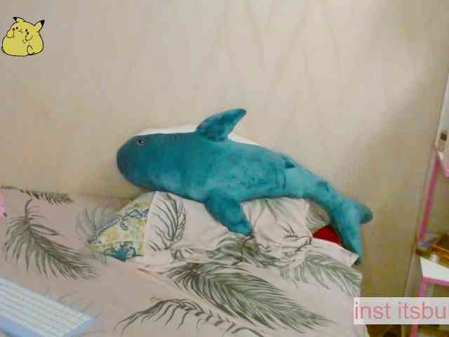 pikach00 webcam