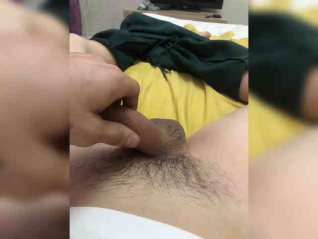 ALAN-SS