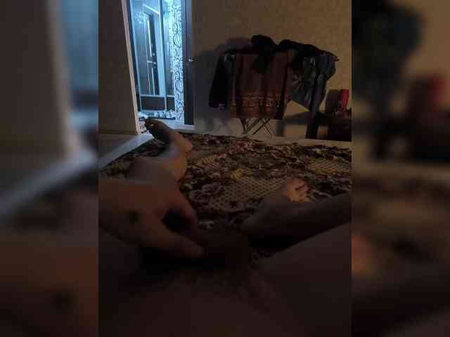 ALAN-SS
