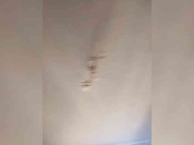 XsuVVa webcam