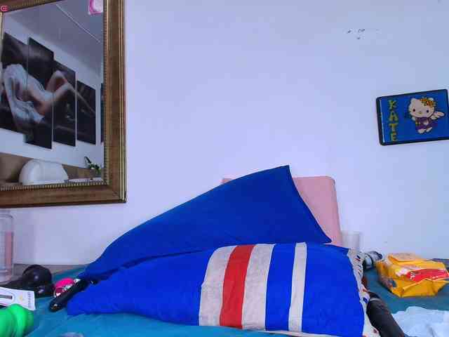 hanks-star webcam