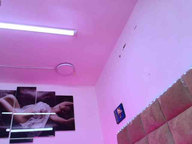 hanks-star webcam