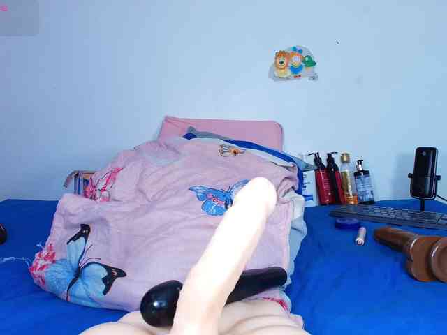 hanks-star webcam
