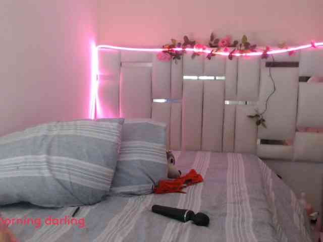 ViviBless webcam