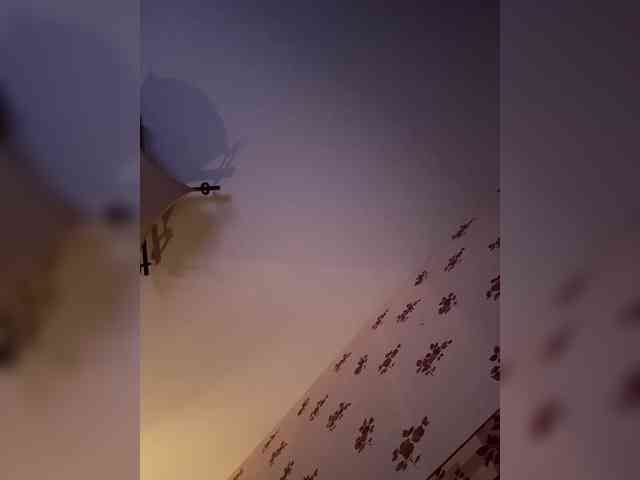 Rinaaamur webcam