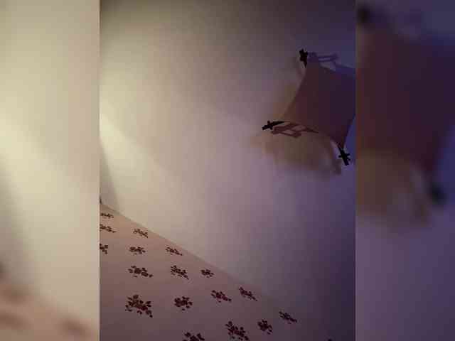 Rinaaamur webcam