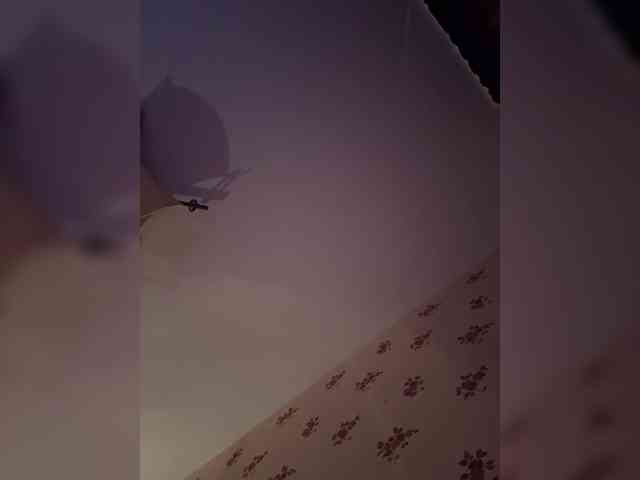Rinaaamur webcam