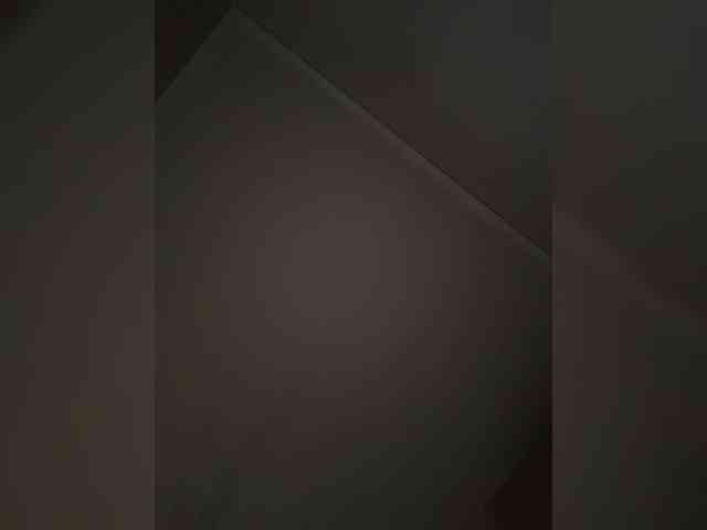 Rinaaamur webcam