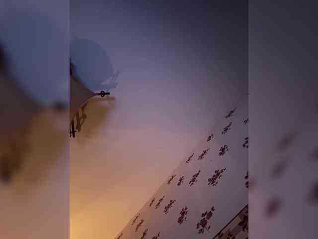 Rinaaamur webcam