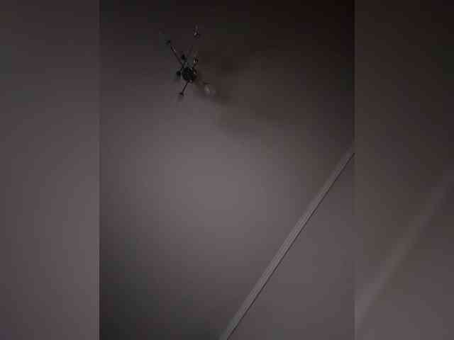 Rinaaamur webcam
