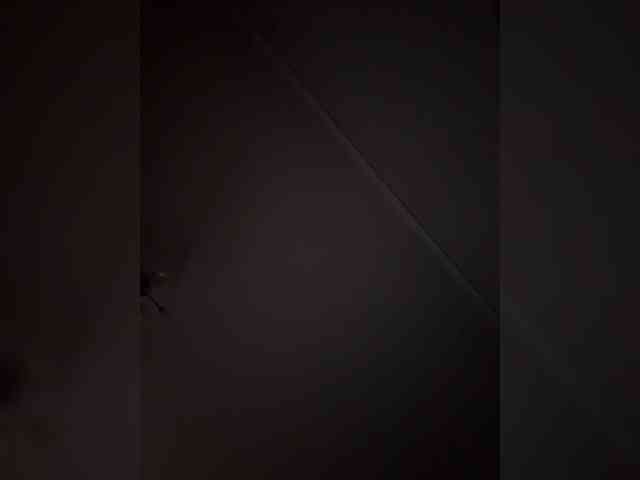 Rinaaamur webcam