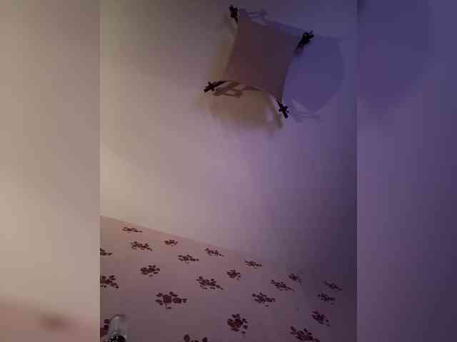 Rinaaamur webcam