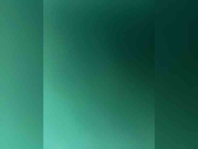 Rinaaamur webcam